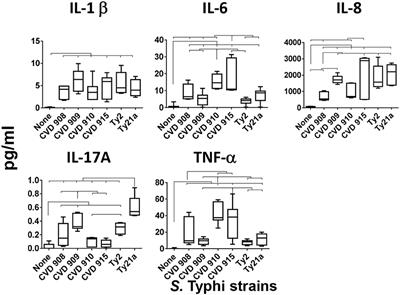 Manipulation of Salmonella Typhi Gene Expression Impacts Innate Cell Responses in the Human Intestinal Mucosa